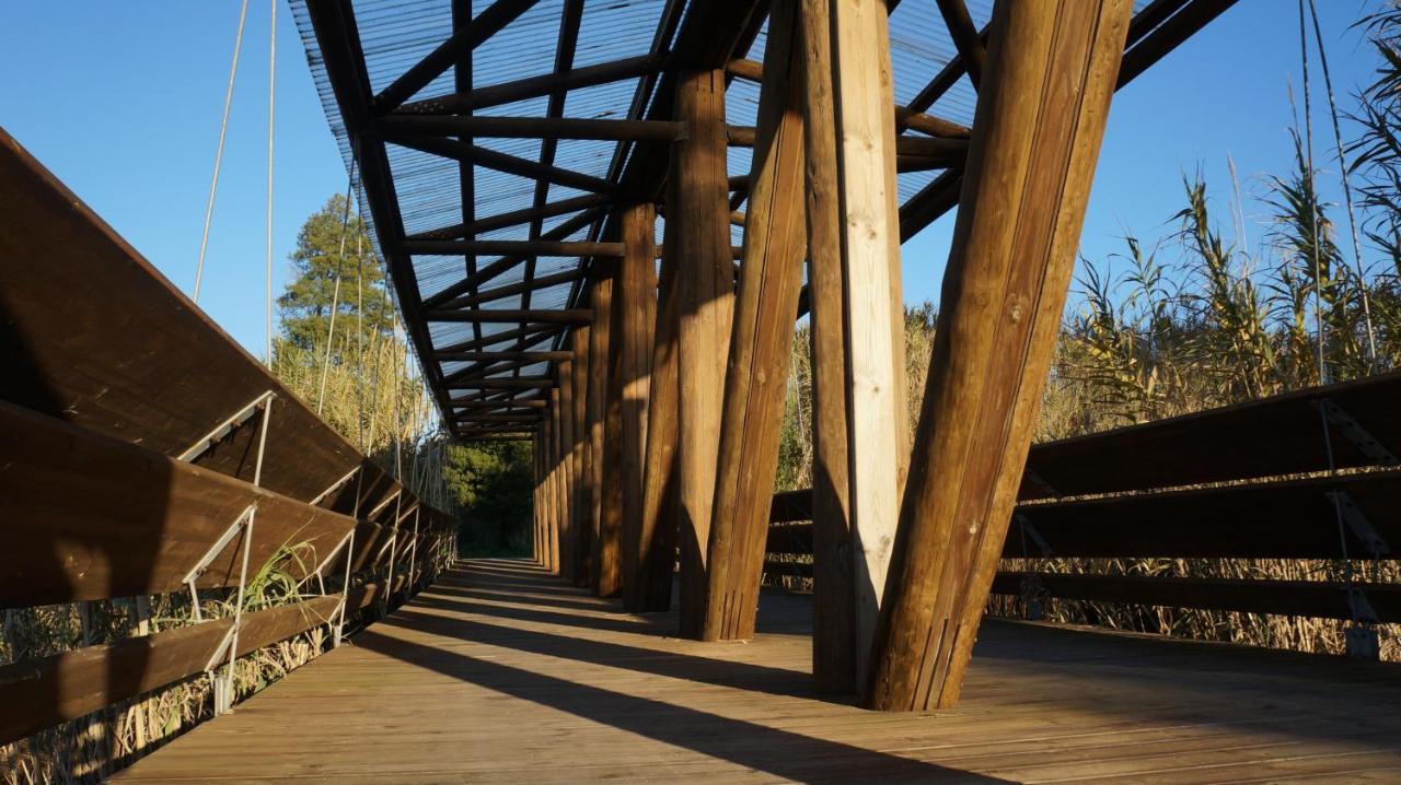 Forest Terrace Прая де Мира Екстериор снимка