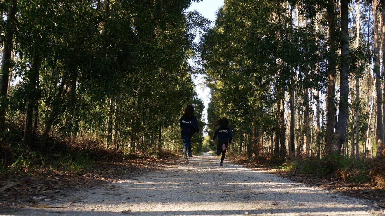 Forest Terrace Прая де Мира Екстериор снимка