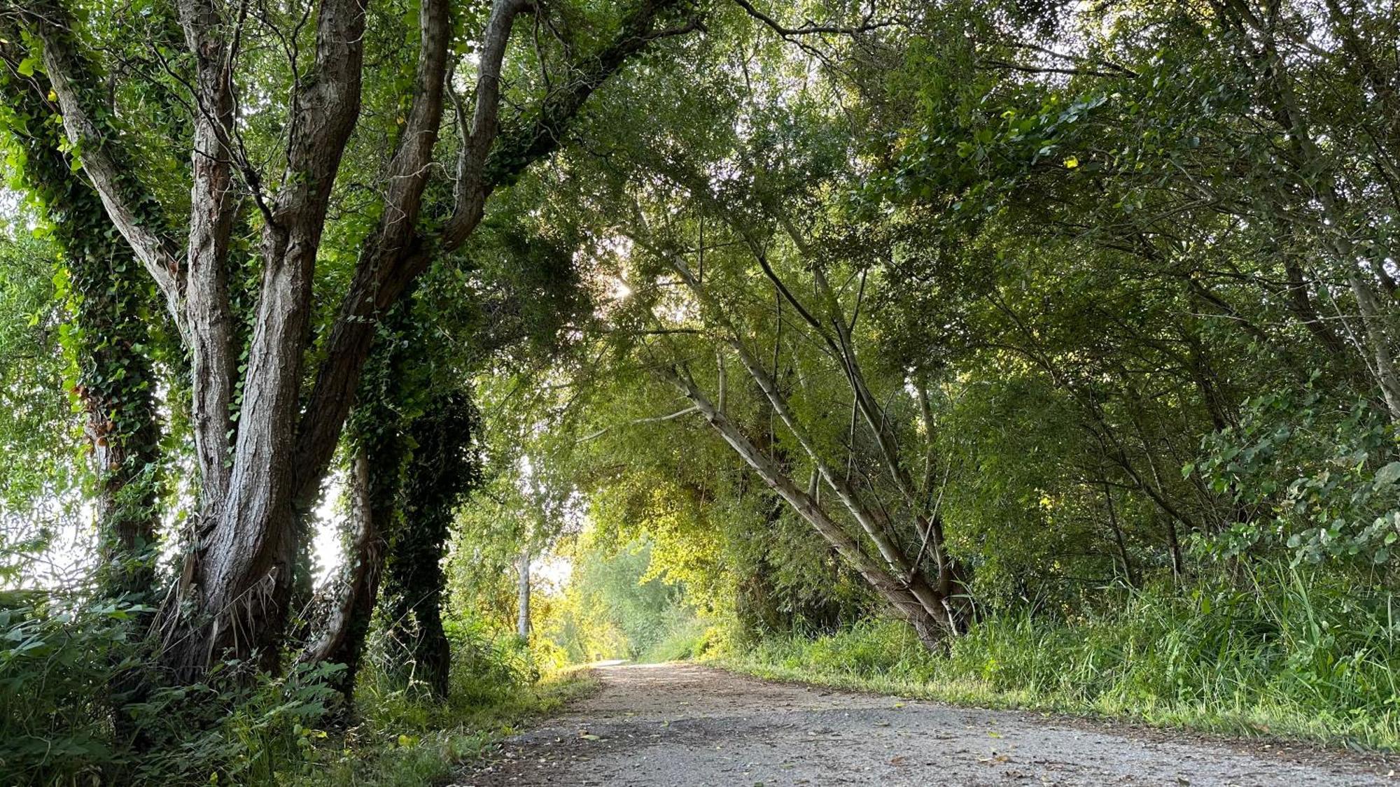 Forest Terrace Прая де Мира Екстериор снимка